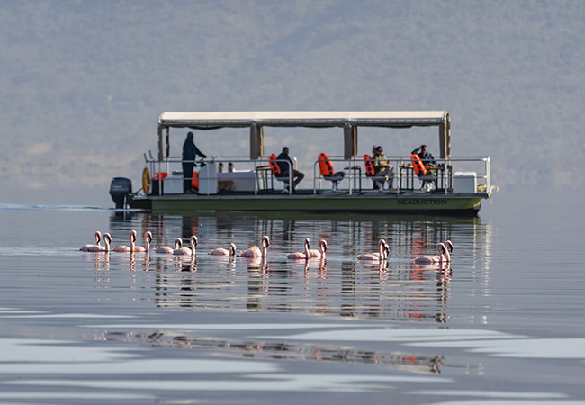 1 Day Lake Naivasha With Boat Ride