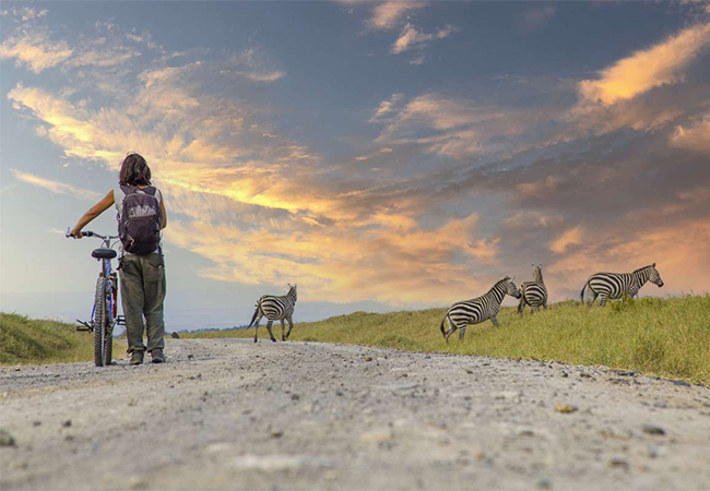 1 Day Tour Hell’s Gate National Park